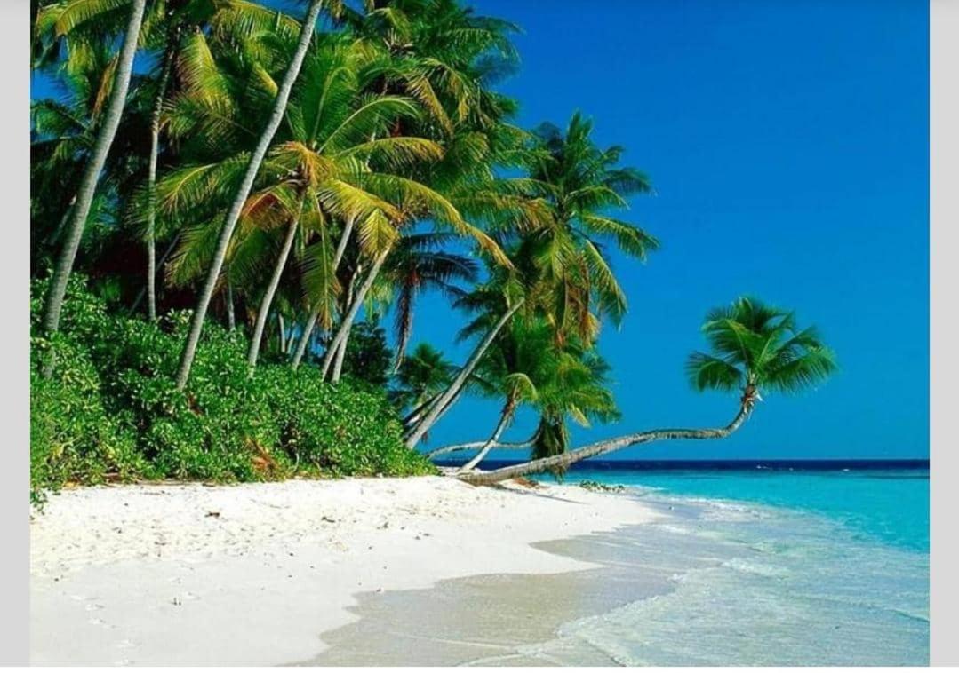 Airbnb At Sri Sayang Batu Ferringhi Beach Exterior foto